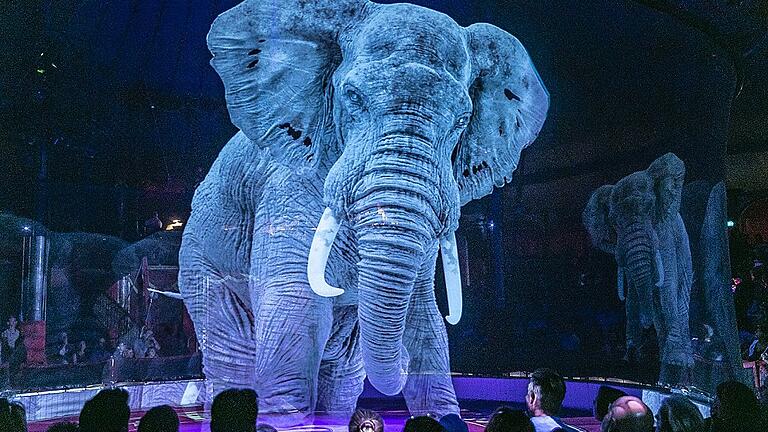 Wildtiere sind im Circus Roncalli jetzt aus Licht       -  Der Elefant sieht täuschend echt aus &ndash; und glitzernde Pferde dürften die Kinder im Publikum besonders lieben. Die Entscheidung des Circus Roncalli, künftig keine Wildtiere, sondern nur noch Hologramme zu zeigen, kommt auch bei Tierschützern an.
