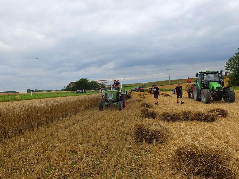 Alte und neue und landwirtschaftliche Maschinen
im Einsatz bei der Weizenernte in Oesfeld. Alte und neue und landwirtschaftliche Maschinen
im Einsatz bei der Weizenernte in Oesfeld.