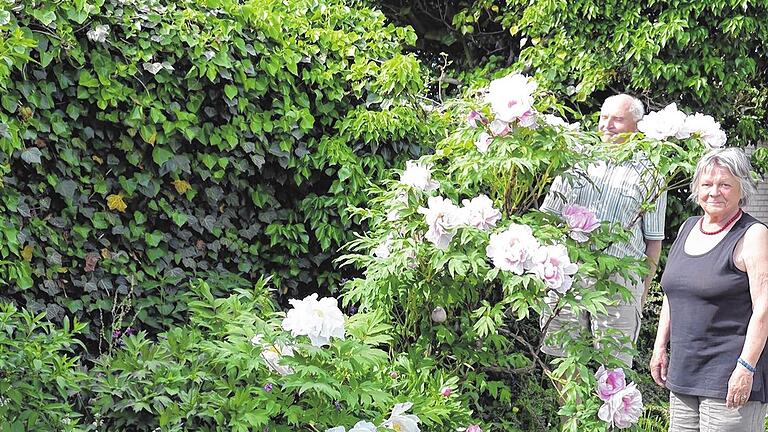 Naturnah: Mit ihrem grünen Daumen zaubern Marianne und Vilmar Herden ein Gartenparadies am Grasberg. Naturnah: Mit ihrem grünen Daumen zaubern Marianne und Vilmar Herden ein Gartenparadies am Grasberg.
