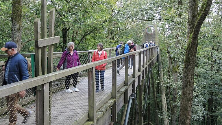 Nach einer Lektion Kulturgeschichte in Ebrach war die Begehung des Baumwipfelpfads eine erfrischende Abwechslung auf einem einzigartigen Naturlehrpfad in ungewohnter Höhenlage für die Wanderfreunde aus Mellrichstadt.