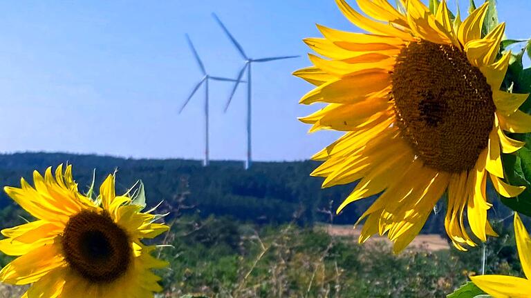 Die Wertschöpfung der gesamten Verwertungskette vor Ort zu halten, ist das Ziel des Landkreises in Bezug auf Windkraftanlagen und Photovoltaik-Felder.