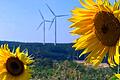 Die Wertschöpfung der gesamten Verwertungskette vor Ort zu halten, ist das Ziel des Landkreises in Bezug auf Windkraftanlagen und Photovoltaik-Felder.