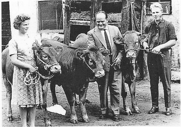 Grettstadt: Bei der Landwirtschaftsschau 1958 in Würzburg prämierte Drillingskälber von Helga Saalmüller, später verheiratete Ullrich. Rechts Jungbauer Georg Lenhard, in der Mitte Melklehrer Sebastian Ziegler.