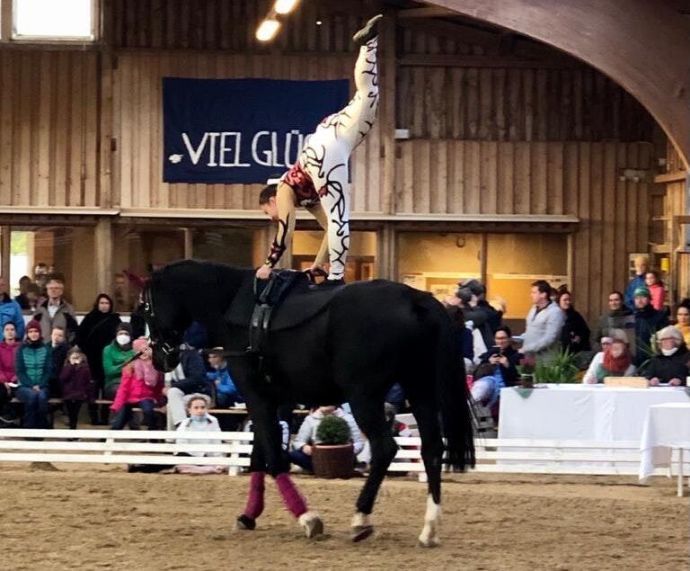 'Endlich wieder Turnier' hieß es für die Voltigiererin Eva Maria Voigt und ihre Trainerinnen Michaela Boockmann und Tanja Schmidt. Auf der Anlage des RFV Herrieden fand nach langer Corona-Pause eines der ersten Voltigierturniere für die fränkischen Voltigierer statt. Auf Pferd Diogenes startete Eva Maria Voigt für den Voltigierverein Rhön/Palmsberg e.V. im Einzelwettbewerb. Mit einer sehr guten Pflicht und einer schönen Kür konnte sie sich gegen die Konkurrenz durchsetzen und belegte am Ende den ersten Platz. 'Endlich wieder Turnier' hieß es für die Voltigiererin Eva Maria Voigt und ihre Trainerinnen Michaela Boockmann und Tanja Schmidt. Auf der Anlage des RFV Herrieden fand nach langer Corona-Pause eines der ersten Voltigierturniere für die fränkischen Voltigierer statt. Auf Pferd Diogenes startete Eva Maria Voigt für den Voltigierverein Rhön/Palmsberg e.V. im Einzelwettbewerb. Mit einer sehr guten Pflicht und einer schönen Kür konnte sie sich gegen die Konkurrenz durchsetzen und belegte am Ende den ersten Platz.