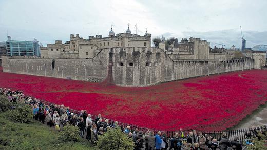 Ansturm: Zehntausende besuchen täglich das Erinnerungskunstwerk um den Tower of London. Doch nicht jedem gefallen die Keramikblumen, die ein Künstler installiert hat.