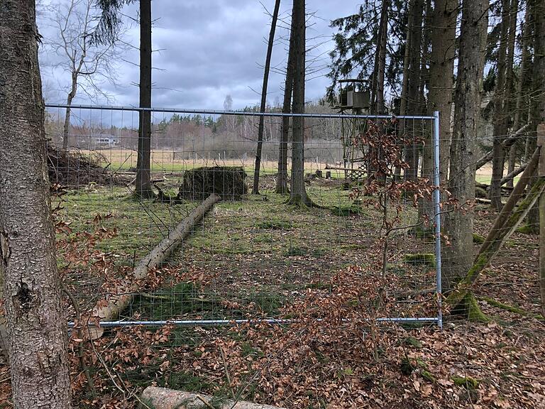 Ein Bauzaun schließt jetzt die Lücke im Zaun um das Rotwild-Gehege, nachdem ein Baum durch den Sturm umgedrückt und auf den Zaun gefallen war. Ein Bauzaun schließt jetzt die Lücke im Zaun um das Rotwild-Gehege, nachdem ein Baum durch den Sturm umgedrückt und auf den Zaun gefallen war.