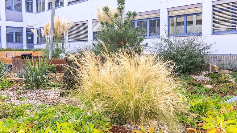Im Altfelder Industriegebiet 'Am Schlossfeld' ist eine Dachbegrünung von 50 Prozent vorgeschrieben. (Symbolbild) Der Marktheidenfelder Bauausschuss stimmte am Dienstag jedoch dem Antrag eines Unternehmens auf Befreiung zu. Im Altfelder Industriegebiet 'Am Schlossfeld' ist eine Dachbegrünung von 50 Prozent vorgeschrieben. (Symbolbild) Der Marktheidenfelder Bauausschuss stimmte am Dienstag jedoch dem Antrag eines Unternehmens auf Befreiung zu.