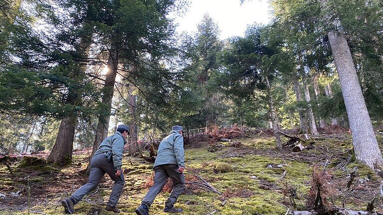 Angriff eines Bären in Norditalien.jpeg       -  Polizeibeamte im Wald im norditalienischen Caldes, wo ein Jogger von einem Bären angegriffen und getötet worden ist.