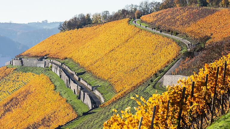 Viele Spaziergänger nutzten die milden Temperaturen im November – wie hier bei einem Besuch in den Weinbergen bei der Steinburg in Würzburg. Viele Spaziergänger nutzten die milden Temperaturen im November – wie hier bei einem Besuch in den Weinbergen bei der Steinburg in Würzburg.