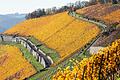 Viele Spaziergänger nutzten die milden Temperaturen im November – wie hier bei einem Besuch in den Weinbergen&nbsp;bei der Steinburg in Würzburg.