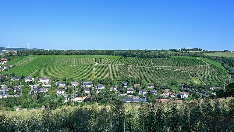 Der Würzburger Pfaffenberg ist eine Weinlage im Würzburger Dürrbachtal. Bürgerspital, Juliusspital, das Weingut Reiss und die LWG bauen hier auf rund 60 Hektar Wein an.&nbsp;