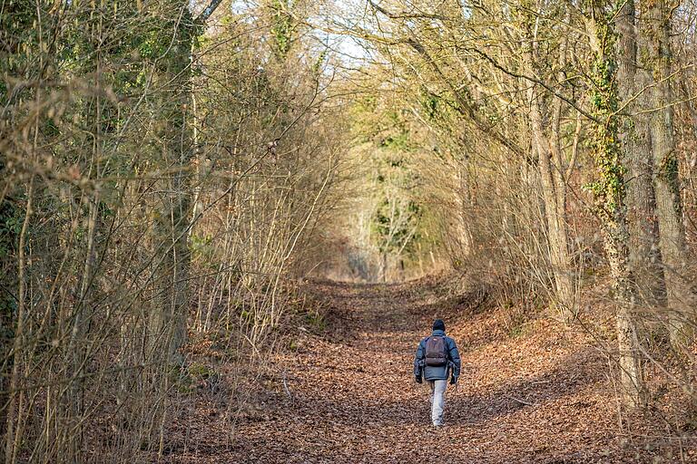 Auf der Rundtour 'Zum Kreuzweg' gibt's nach circa 1,4 Kilometern eine kurze steile Etappe, die auf den Niederen Berg führt. Auf der Rundtour 'Zum Kreuzweg' gibt's nach circa 1,4 Kilometern eine kurze steile Etappe, die auf den Niederen Berg führt.