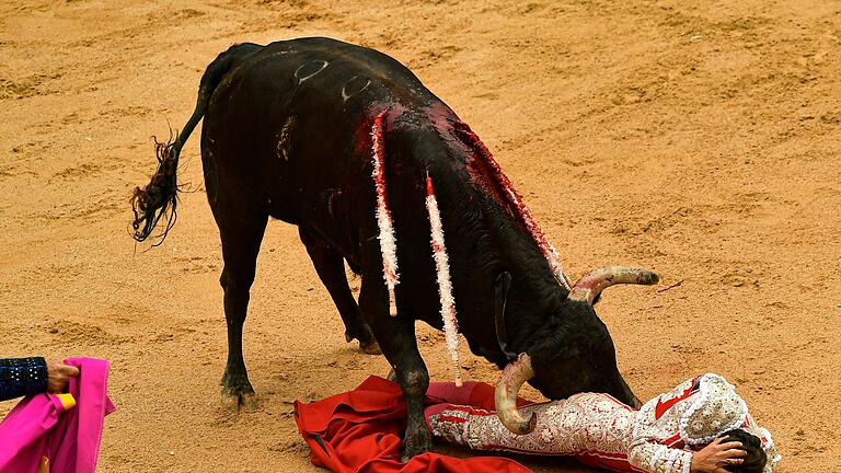 Sanfermín-Fest in Pamplona - Ob man es mag oder nicht, beim Sanfermín-Fest geht es um den Kampfstier und eine Einzigartigkeit: Man setzt sein Leben aufs Spiel, um das Leben des Tieres zu fordern, msytisch, wild, schön, schreibt die Zeitung 'La Vanguardia'. Sanfermín-Fest in Pamplona - Ob man es mag oder nicht, beim Sanfermín-Fest geht es um den Kampfstier und eine Einzigartigkeit: Man setzt sein Leben aufs Spiel, um das Leben des Tieres zu fordern, msytisch, wild, schön, schreibt die Zeitung 'La Vanguardia'.
