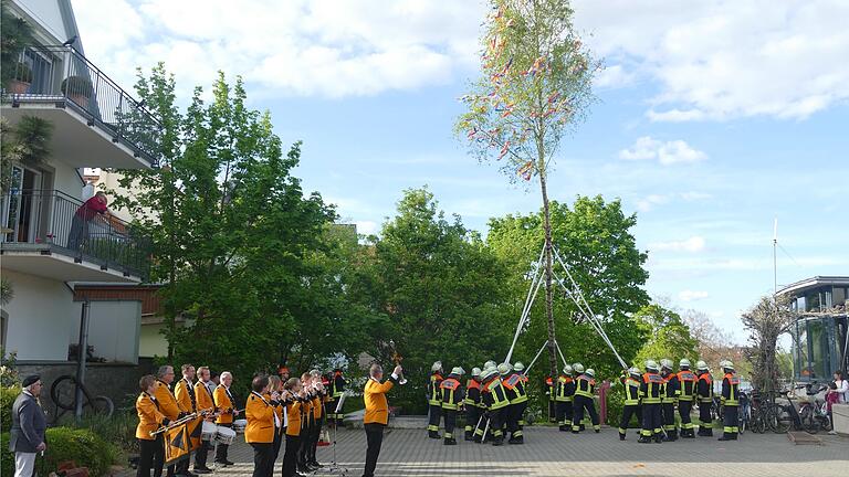 Zu den Klängen des Kolping-Musikkorps richtete die Kitzinger Feuerwehr die geschmückte Birke binnen Minuten auf.