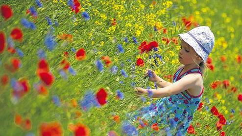 Blumen und Kinder: Ein mögliches Motiv für den Fotowettbewerb der Main-Post zur Kleinen Gartenschau Natur in Kitzingen (NiK). „Menschen und Gartenschau“ heißt das Motto des Wettbewerbs, an dem sich alle Hobbyfotografen beteiligen können. Blumen und Kinder: Ein mögliches Motiv für den Fotowettbewerb der Main-Post zur Kleinen Gartenschau Natur in Kitzingen (NiK). „Menschen und Gartenschau“ heißt das Motto des Wettbewerbs, an dem sich alle Hobbyfotografen beteiligen können.