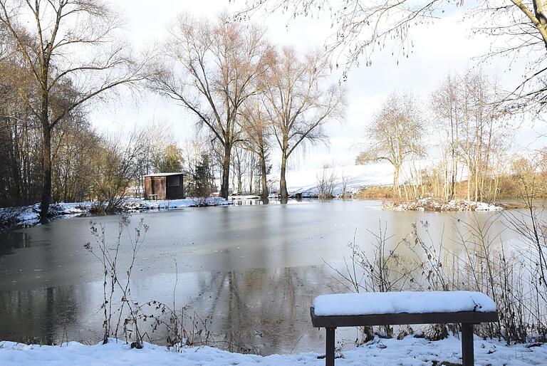 Die Pächter möchten nächstes Jahr wieder ein Fischfest ausrichten. Am Teich in Hendungen muss allerdings erst noch einiges auf Vordermann gebracht werden.