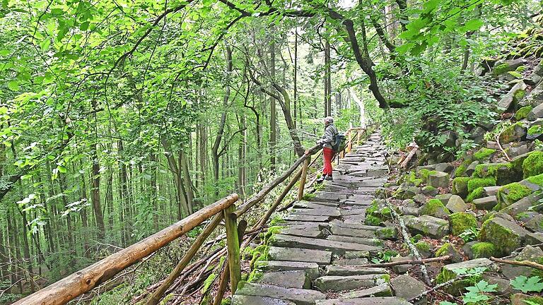 Am länderübergreifenden Kernzonentag bieten die Ranger der Bayerischen Verwaltungsstelle des Biosphärenreservats eine Führung durch die Kernzone Gangolfsberg an. - Am länderübergreifenden Kernzonentag bieten die Ranger der Bayerischen Verwaltungsstelle des Biosphärenreservats eine Führung durch die Kernzone Gangolfsberg an. Am länderübergreifenden Kernzonentag bieten die Ranger der Bayerischen Verwaltungsstelle des Biosphärenreservats eine Führung durch die Kernzone Gangolfsberg an. - Am länderübergreifenden Kernzonentag bieten die Ranger der Bayerischen Verwaltungsstelle des Biosphärenreservats eine Führung durch die Kernzone Gangolfsberg an.