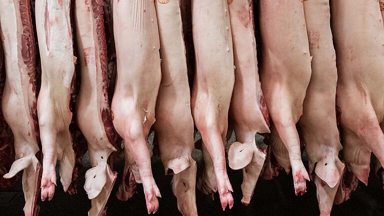 Fleischproduktion       -  Die Schlachtmenge bei Schweinefleisch steigt um 1,9 Prozent. (Archivbild)