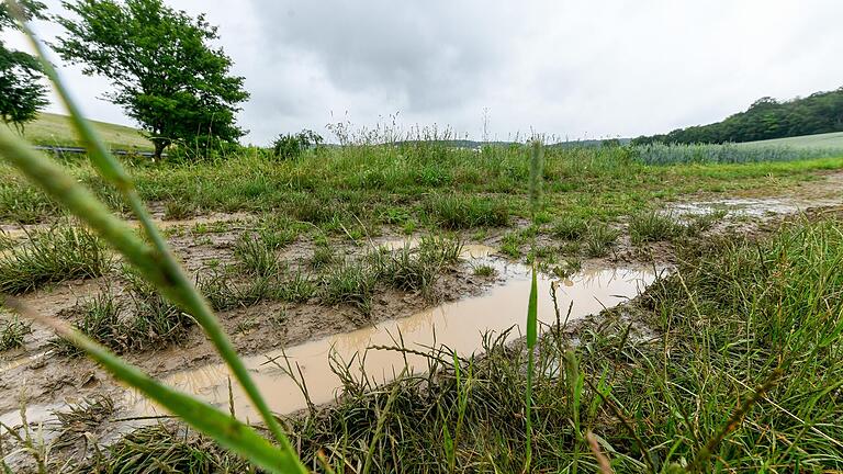 Das Regenwetter der vergangenen Tage hat viel Wasser auf den Boden gebracht. Mancherorts bilden sich - wie hier im Landkreis Würzburg -große Pfützen. Das Regenwetter der vergangenen Tage hat viel Wasser auf den Boden gebracht. Mancherorts bilden sich - wie hier im Landkreis Würzburg -große Pfützen.