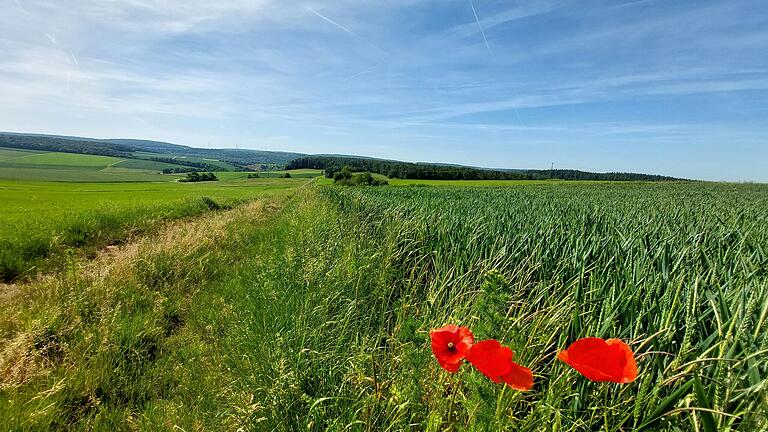 Blick auf die 'Hohe Heide' auf Dertinger Gemarkung (Baden-Württemberg) von Homburg aus. Dort soll ein Windpark direkt an der Grenze zu Homburg entstehen.