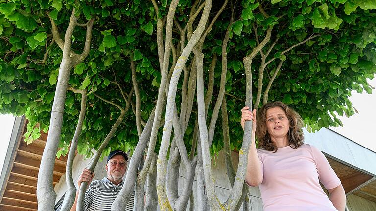 Welche Pflanzen halten Hitze gut aus? Gärtner Alfons Weiglein aus Wiesentheid (Lkr. Kitzingen) und Gartenexpertin Claudia Taeger geben Tipps zur Bewässerung und zum Pflanzenkauf. Welche Pflanzen halten Hitze gut aus? Gärtner Alfons Weiglein aus Wiesentheid (Lkr. Kitzingen) und Gartenexpertin Claudia Taeger geben Tipps zur Bewässerung und zum Pflanzenkauf. 