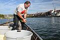 Andreas Gugel, Obermeister der Würzburger Fischerzunft, setzt am Freitag an verschiedenen Stellen am Main in Würzburg Fische aus der Zucht im Fluss aus. Mit dem sogenannten Fischbesatz versucht die Fischerzunft die Fischbestände im Main zu stärken.