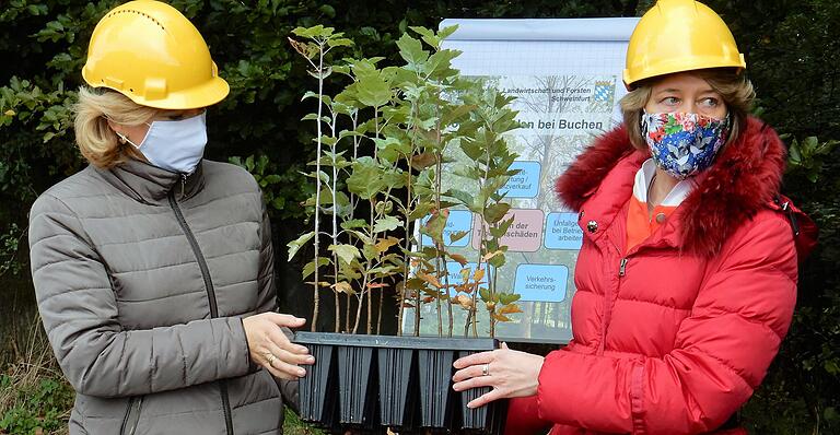 Julia Klöckner und Anja Weisgerber übergaben eine Palette mit 15 Topfpflanzen (Elsbeere) an die Gemeinde Wasserlosen für die Planzung im 'Langenberg'. Julia Klöckner und Anja Weisgerber übergaben eine Palette mit 15 Topfpflanzen (Elsbeere) an die Gemeinde Wasserlosen für die Planzung im 'Langenberg'.