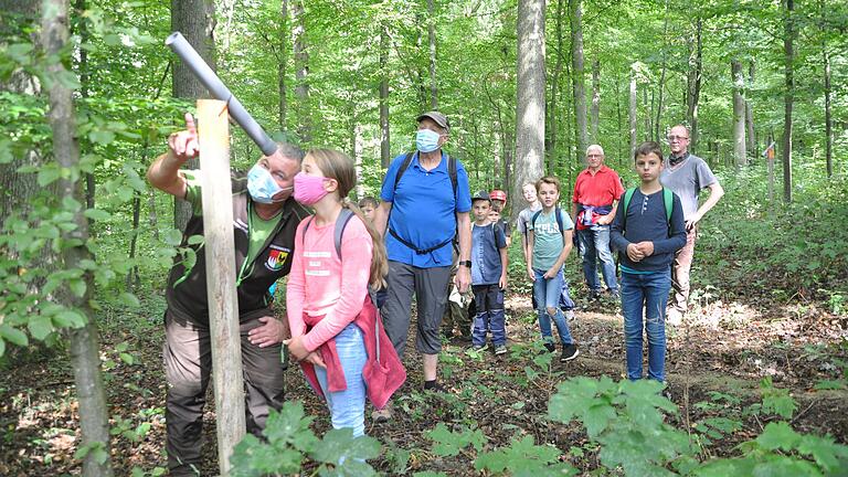 Mit "Guckfernrohren" lassen sich Spechthöhlen in der Waldabteilung "Hegholz" entdecken. Mit im Bild Thomas Helmschrott. Mit "Guckfernrohren" lassen sich Spechthöhlen in der Waldabteilung "Hegholz" entdecken. Mit im Bild Thomas Helmschrott.