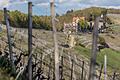 Liegt hier demnächst ein kilometerlanges Schlauchsystem? Die Stadt Würzburg prüft verschiedene Konzepte zur Bewässerung am Steinberg.&nbsp;