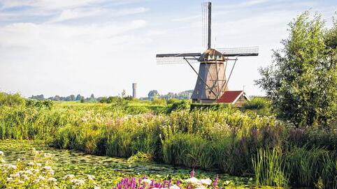 Steuersparmodell: Die Niederlande sind vor allem bekannt als Paradies für Tulpenliebhaber, Monarchisten und Touristen.