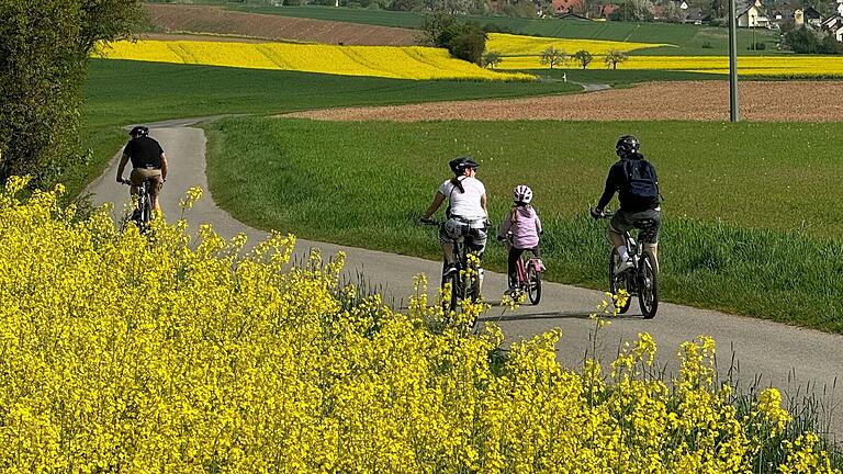 Fahrradtour im Thulbatal: Kurz hinter Hammelburg geht es rechts ab, überall leuchten die Rapsfelder.