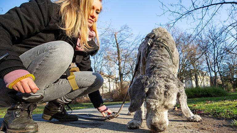 Auch in Würzburg fallen immer wieder Hunde Giftködern zum Opfer. Hundetrainerin Carolin Schmitt weiß, wie Halterinnen und Halter im Ernstfall richtig reagieren.