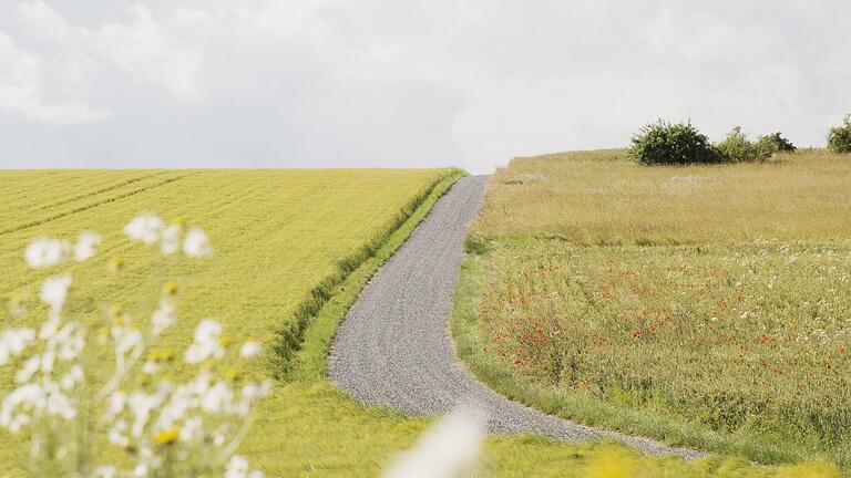 Öko-Landbau als möglicher Weg gegen den Klimawandel? Interessierte können sich am 22. Februar 2024 im Zuge eines Online-Seminars über die Betriebsumstellung auf eine ökologische Landwirtschaft informieren.