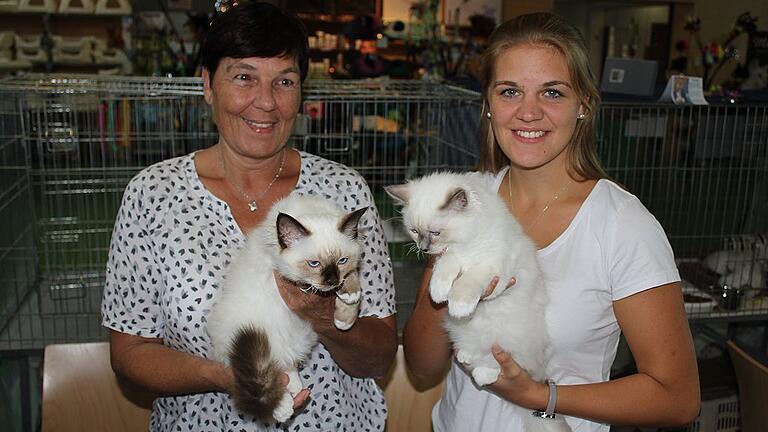 Unter den Ausstellern in Wiesentheid waren auch Christina Zellner aus Scheinfeld und ihre Tochter Lisa, die Katzen der Rasse &bdquo;Heilige Birma von Skukuza&ldquo; züchten.