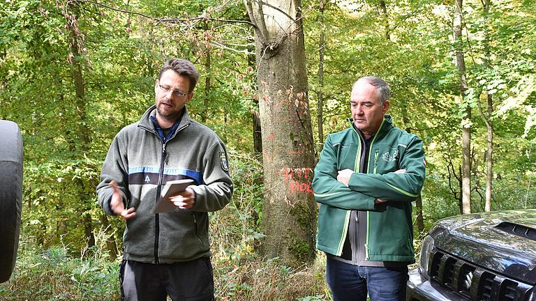 Revierförster Patrick Schlebert (links), erläutert in der Waldabteilung „Buch“ die Belassung von Totholz im Wald. Dies wird nach dem Vertragsnaturschutzgesetz finaziell gefördert. Rechts im Bild Bürgermeister Karl Gerhard.