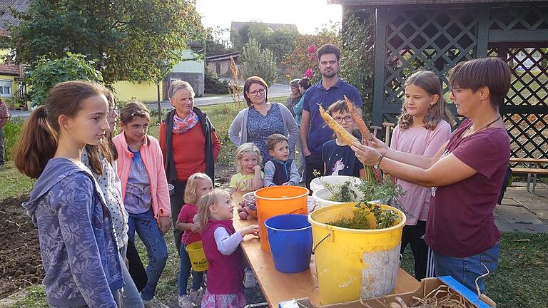 Nach der Erntearbeit, wurde der Ertrag, wie etwa Zwiebeln, Tomaten oder Kartoffeln, gerecht untereinander aufgeteilt. Martina Vierengel (rechts) zeigt zwei gelbe Rüben-Prachtexemplare, die die Gartenzwerge im Greßthaler Mitmachgarten geerntet haben. Nach der Erntearbeit, wurde der Ertrag, wie etwa Zwiebeln, Tomaten oder Kartoffeln, gerecht untereinander aufgeteilt. Martina Vierengel (rechts) zeigt zwei gelbe Rüben-Prachtexemplare, die die Gartenzwerge im Greßthaler Mitmachgarten geerntet haben.
