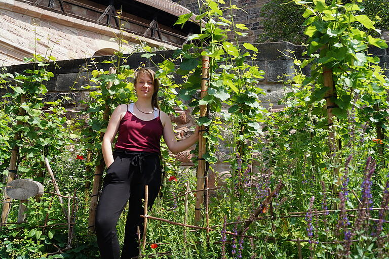 Weinanbau mitten in der Nürnberger Altstadt, direkt unterhalb der Burg: Das Archivbild aus dem Jahr 2021 zeigt Lisa Wölfel im Weingarten von Patrik Fritz. Weinanbau mitten in der Nürnberger Altstadt, direkt unterhalb der Burg: Das Archivbild aus dem Jahr 2021 zeigt Lisa Wölfel im Weingarten von Patrik Fritz.
