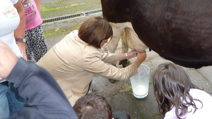 Landwirtschaft will gelernt sein. Auf Instagram postete Manuela Rottmann, die künftige Staatssekretärin im Agrarministerium, schon mal ein Foto von sich beim Melken einer Kuh.