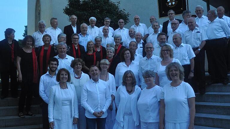 Gaben gemeinsam anlässlich des französisch-deutschen Partnerschaftsbesuchs ein Konzert in der Bergtheimer Pfarrkirche: Der Chor aus Boutiers-St. Trojan Noctambules und die Chorvereinigung Bergtheim.