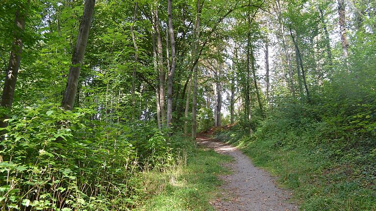 Der Ballinghain hätte Schauplatz einer Landesgartenschau in Bad Kissingen werden sollen. Das Projekt ist nun geplatzt.