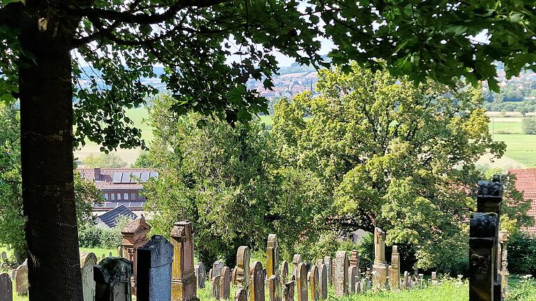 Der jüdische Friedhof in Pfaffenhausen soll im Rahmen eines Leader-Projektes erforscht und dokumentiert werden.       -  Der jüdische Friedhof in Pfaffenhausen soll im Rahmen eines Leader-Projektes erforscht und dokumentiert werden.