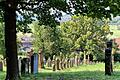 Der jüdische Friedhof in Pfaffenhausen soll im Rahmen eines Leader-Projektes erforscht und dokumentiert werden.       -  Der jüdische Friedhof in Pfaffenhausen soll im Rahmen eines Leader-Projektes erforscht und dokumentiert werden.