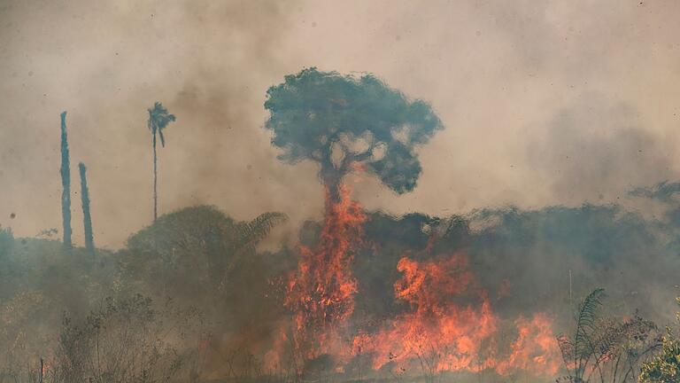 Waldbrände im Amazonasgebiet       -  Im brasilianischen Amazonasgebiet toben die schwersten Brände seit fast 20 Jahren.