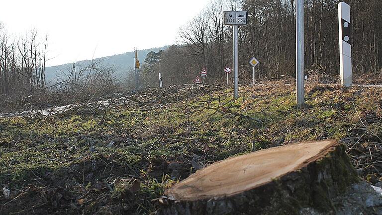 Nur bis Ende Februar dürfen laut gesetzlicher Vorgaben Bäume und Sträucher entfernt werden. Das Staatliche Bauamt hatte daher die Arbeiten an der Staatsstraße 2292 in Auftrag gegeben. Nur bis Ende Februar dürfen laut gesetzlicher Vorgaben Bäume und Sträucher entfernt werden. Das Staatliche Bauamt hatte daher die Arbeiten an der Staatsstraße 2292 in Auftrag gegeben.