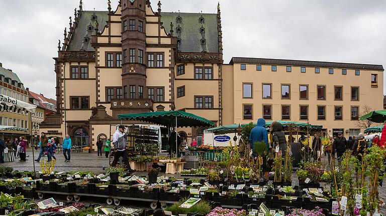 Ein grünes Rathaus in Schweinfurt? Holger Laschka will dort den Chefsessel für die Grünen erobern.