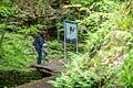 Viele Wanderrouten bieten neben einer atemberaubenden Umwelt auch noch interessante Fakten über die Natur. Für Kinder eine tolle Möglichkeit, mehr über ihre Umgebung zu erfahren.