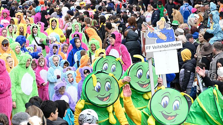 Faschingszug 2024 in der Würzburger Domstraße