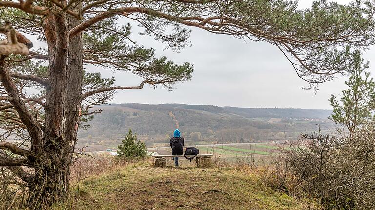 Der Panoramaweg ist ein naturbelassener Wanderweg entlang der Hangkante oberhalb der südlichen Weinberge. Wer in der trüben Jahreszeit also frische Luft schnappen und sich bewegen will . . . Der Panoramaweg ist ein naturbelassener Wanderweg entlang der Hangkante oberhalb der südlichen Weinberge. Wer in der trüben Jahreszeit also frische Luft schnappen und sich bewegen will . . .