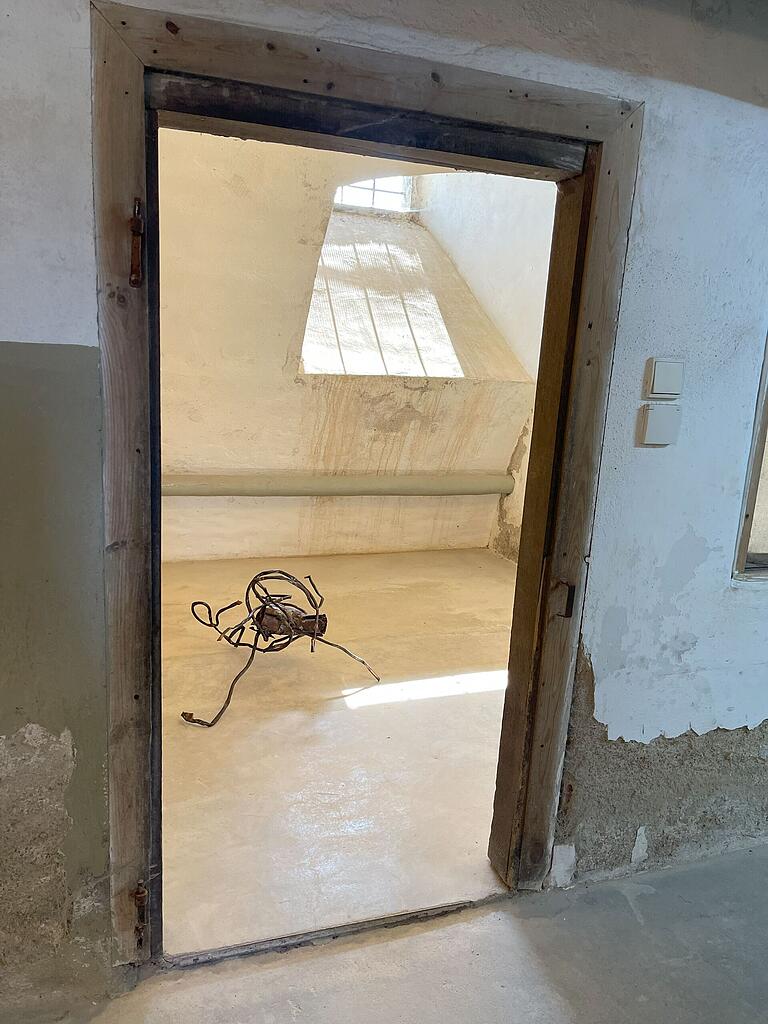 Animalische Kraft: ein 'Plastron' von Angelika Summa im Keller von Haus Nivard. Animalische Kraft: ein 'Plastron' von Angelika Summa im Keller von Haus Nivard.