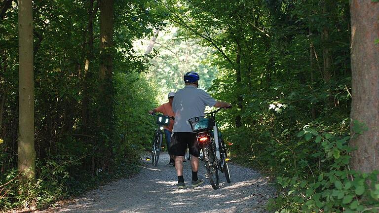 Ein nicht ganz unproblematisches Eck des Mainradwegs bei Volkach ist die Abfahrt, die kurz nach der Brücke über den Mainkanal (aus Richtung Nordheim) hinunter ans Mainufer und Richtung Volkach führt. Grober Schotter macht hier die knapp 40 Meter lange Strecke im Pflanzen-„Tunnel“ – vor allem für Räder mit schmalen Reifen – zum Risiko. Ein nicht ganz unproblematisches Eck des Mainradwegs bei Volkach ist die Abfahrt, die kurz nach der Brücke über den Mainkanal (aus Richtung Nordheim) hinunter ans Mainufer und Richtung Volkach führt. Grober Schotter macht hier die knapp 40 Meter lange Strecke im Pflanzen-„Tunnel“ – vor allem für Räder mit schmalen Reifen – zum Risiko.